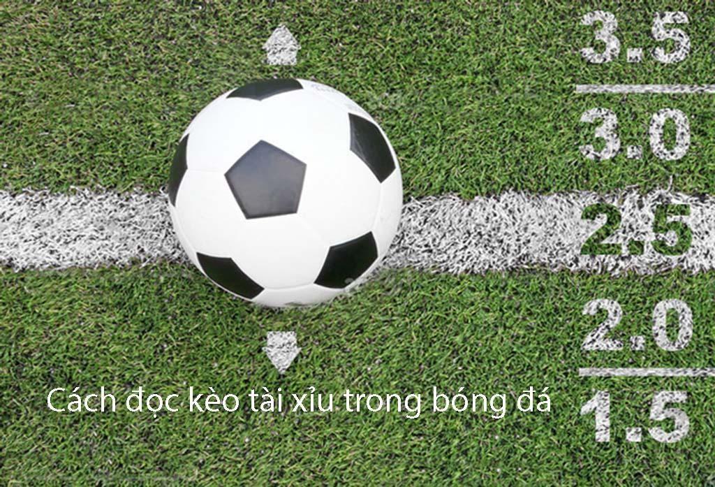 Khám phá bóng đa so và những bí quyết thắng lớn dành cho người chơi mới