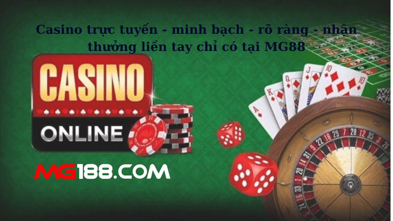 Hướng dẫn cách tiki tra hang nhanh chóng và hiệu quả năm 2024